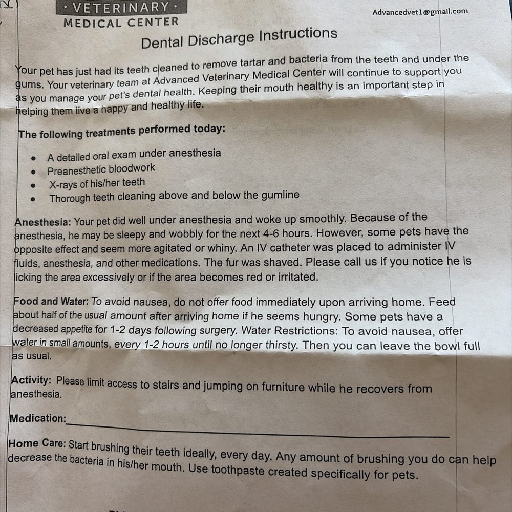 Advanced Veterinary Medical Center - Dental discharge instructions provided after dental procedure - Veterinarians Near Me - Milpitas, California