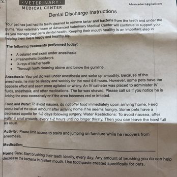 Advanced Veterinary Medical Center - Dental discharge instructions provided after dental procedure - Veterinarians Near Me - Milpitas, California Advanced Veterinary Medical Center - Dental discharge instructions provided after dental procedure - Veterinarians Near Me - Milpitas, California
