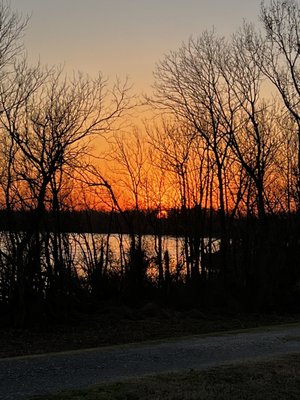 Houmas House Estate and Gardens by null