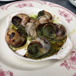 Escargot Escargot