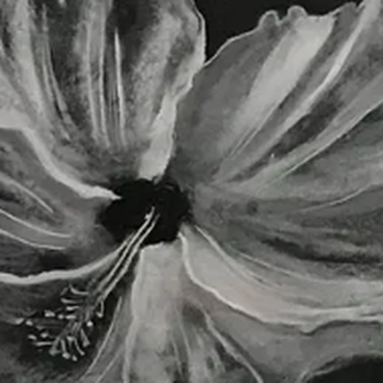 Ten 5 Art - Art Classes Near Me - Houston, Texas Ten 5 Art - Art Classes Near Me - Houston, Texas