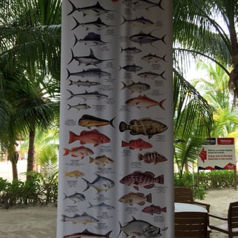Maroma Adventures - Fishing anyone? - Boating Near Me - Playa del Carmen, ROO Maroma Adventures - Fishing anyone? - Boating Near Me - Playa del Carmen, ROO