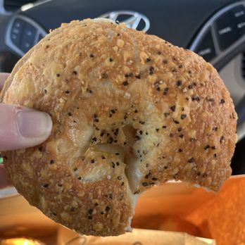 Jeff's Bagel Run - Coffee & Tea Near Me - South Tampa, Florida Jeff's Bagel Run - Coffee & Tea Near Me - South Tampa, Florida
