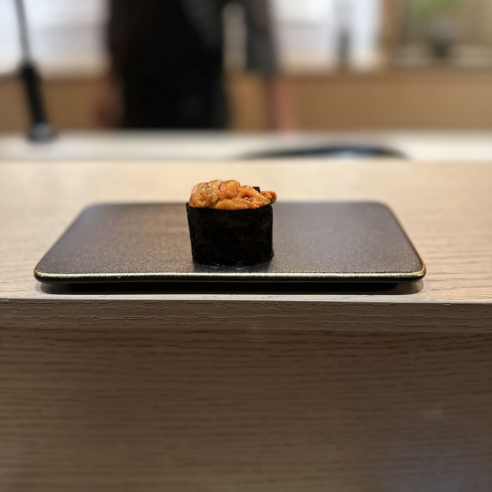 Sea Urchin