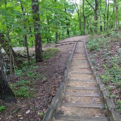Natural Bridge State Natural Area - Walkway down to the Natural Bridge