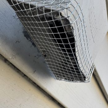 Rodent Blocking - Pest Control Near Me