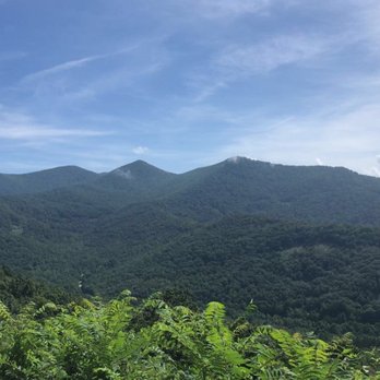 Bledsoe Tree Service - Blue Ridge - Tree Services Near Me Bledsoe Tree Service - Blue Ridge - Tree Services Near Me