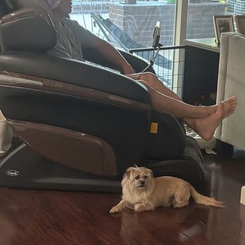 Alamitos Animal Hospital - Mino chilling with dad - Veterinarians Near Me - Westminster, California