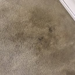 Dirt/spilled juice that they didn't pickup. Dirt/spilled juice that they didn't pickup.