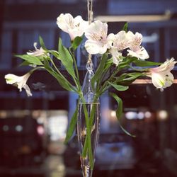 Set In Stone - Hanging floral vases