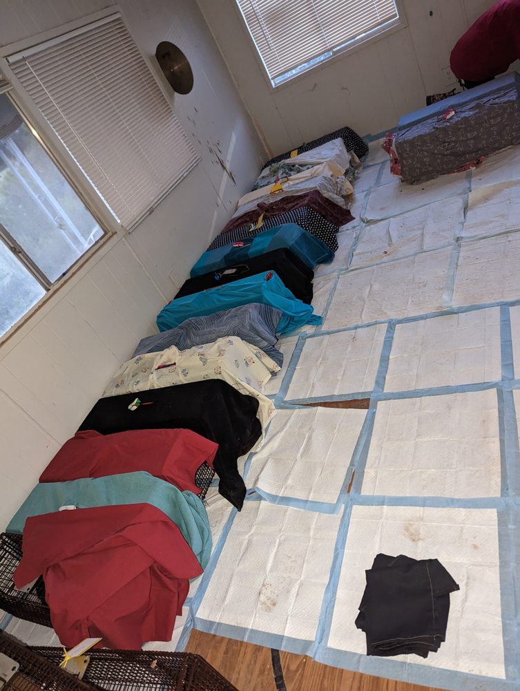 Cats Action Team - social services organization in Mesa, AZ