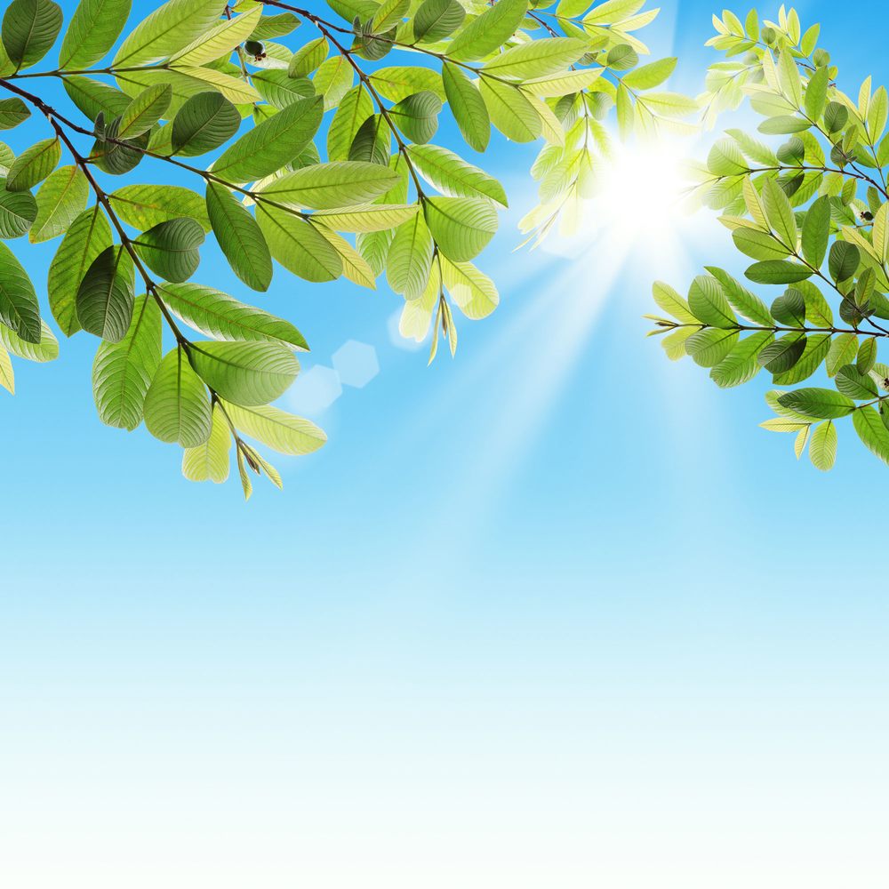 Green Difference Logo