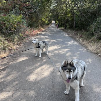 Howarth Park - Parks Near Me - Santa Rosa, California