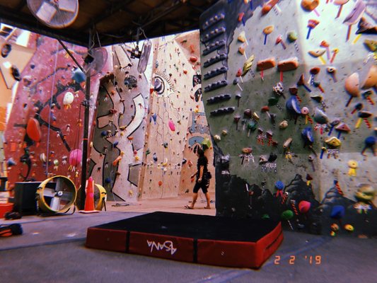 PHOENIX ROCK GYM - 72 Photos & 143 Reviews - 1353 E University Dr ...