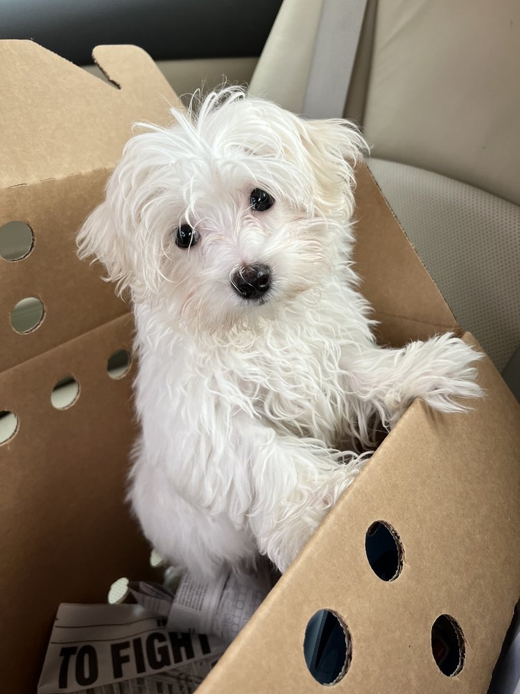 PETS UNLIMITED LTD Updated September 2024 41 Photos & 43 Reviews