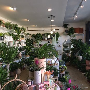 Landmark Plant Co. - Plant heaven! - Nurseries & Gardening Near Me - Oceanside, California Landmark Plant Co. - Plant heaven! - Nurseries & Gardening Near Me - Oceanside, California
