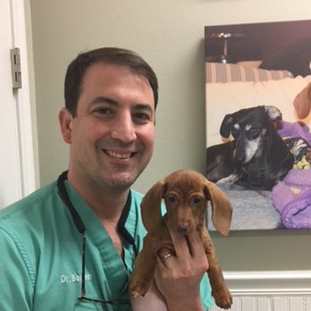 Metairie Small Animal Hospital Lakeview Clinic: Trusted Pet Care Experts