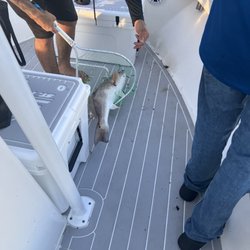 St Pete Beach Charters