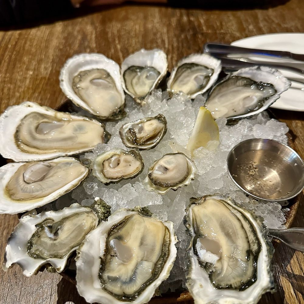 Taylor Shellfish Oyster Bar - Shucker's Dozen - Seafood Near Me - Seattle, Washington Taylor Shellfish Oyster Bar - Shucker's Dozen - Seafood Near Me - Seattle, Washington