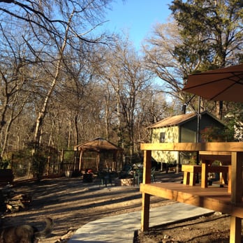Living Tree Services - Tree Removal (After) - Tree Services Near Me Living Tree Services - Tree Removal (After) - Tree Services Near Me