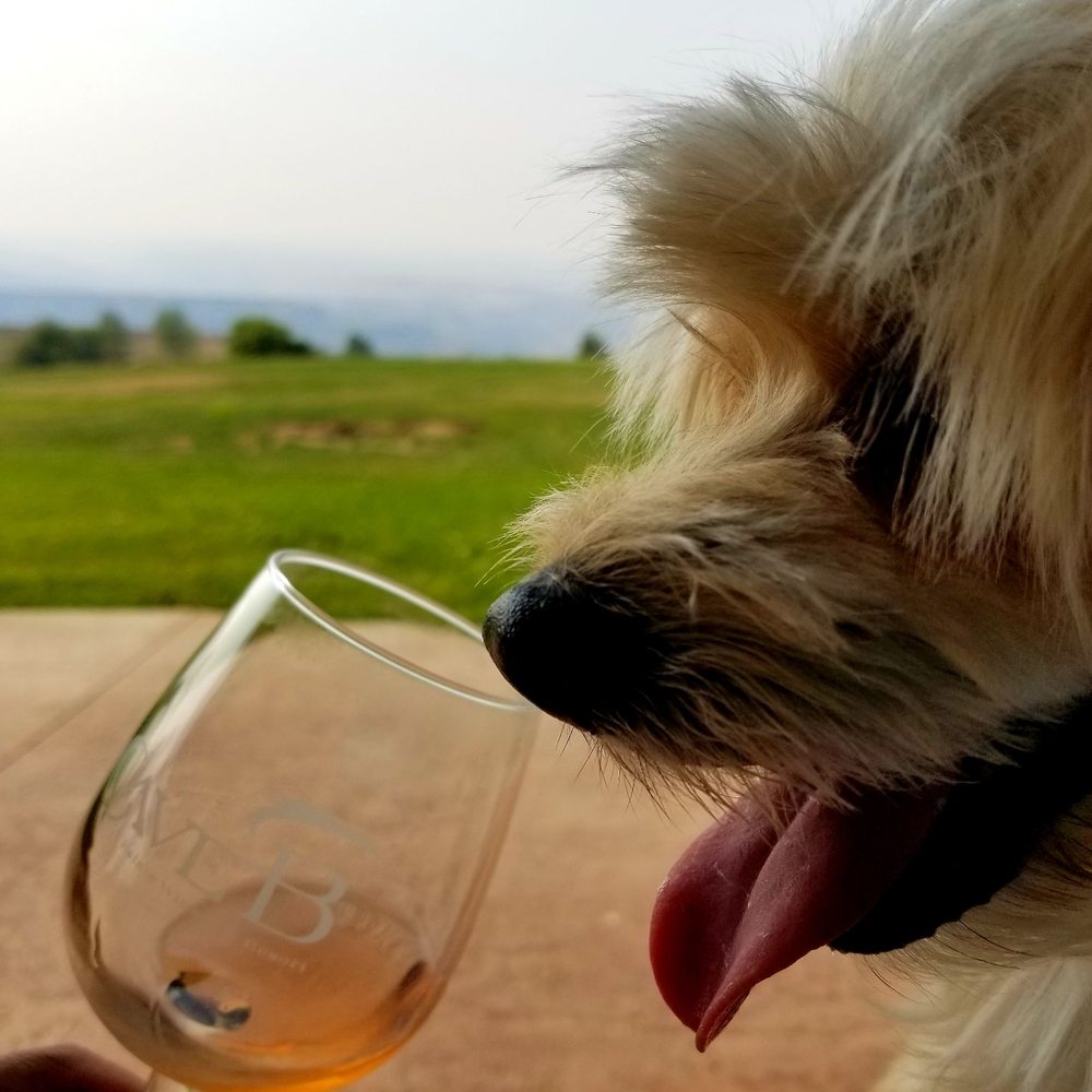 Top 10 Best Massage Asian in Yakima, WA Last Updated August 2021 Yelp