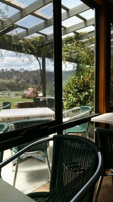 Mount Majura Vineyard by null