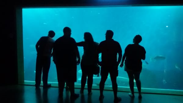 Sevilla Aquarium by null