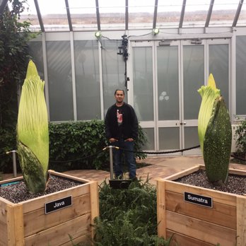 Chicago Botanic Garden - 2 giant Corpse Flowers and dear husband - Botanical Gardens Near Me - Glencoe, Illinois