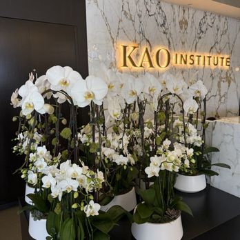 KAO Aesthetics - Medical Spas Near Me - Santa Monica, California KAO Aesthetics - Medical Spas Near Me - Santa Monica, California
