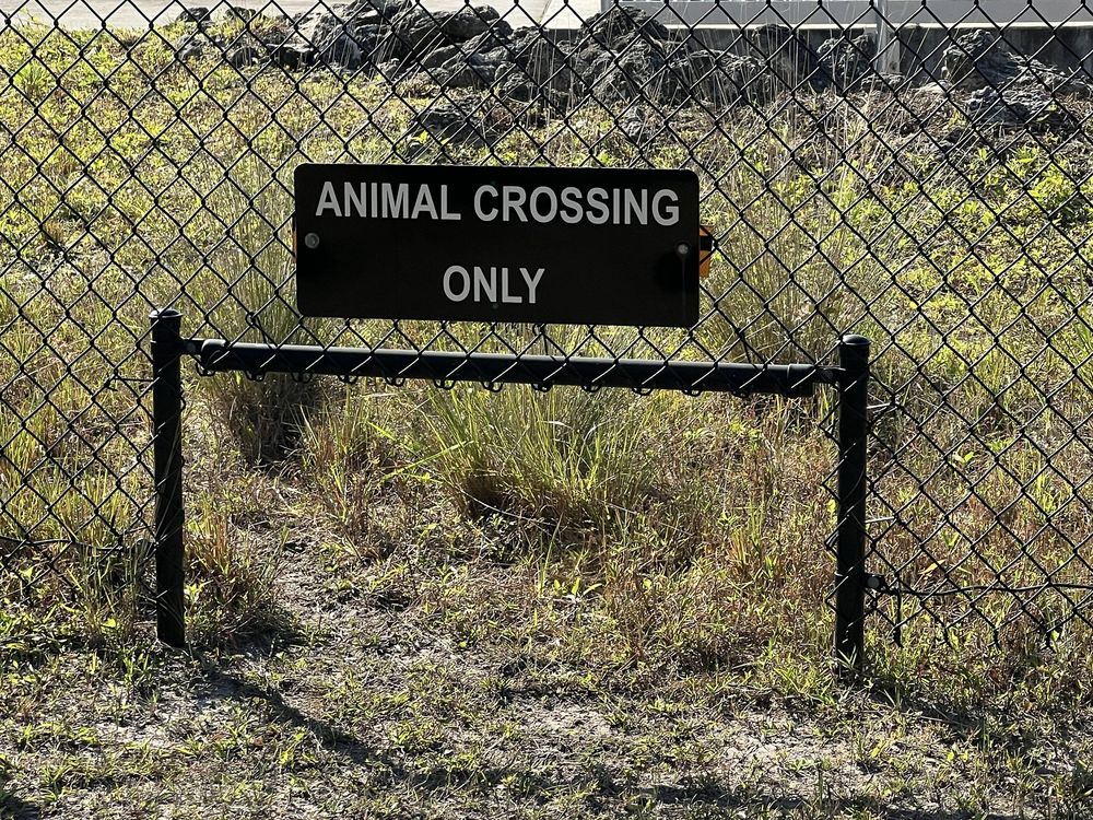 Osprey Acres Image