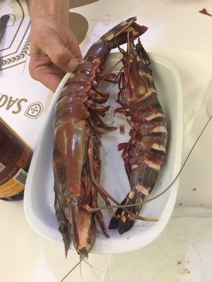 A Marisqueira do Lis by null