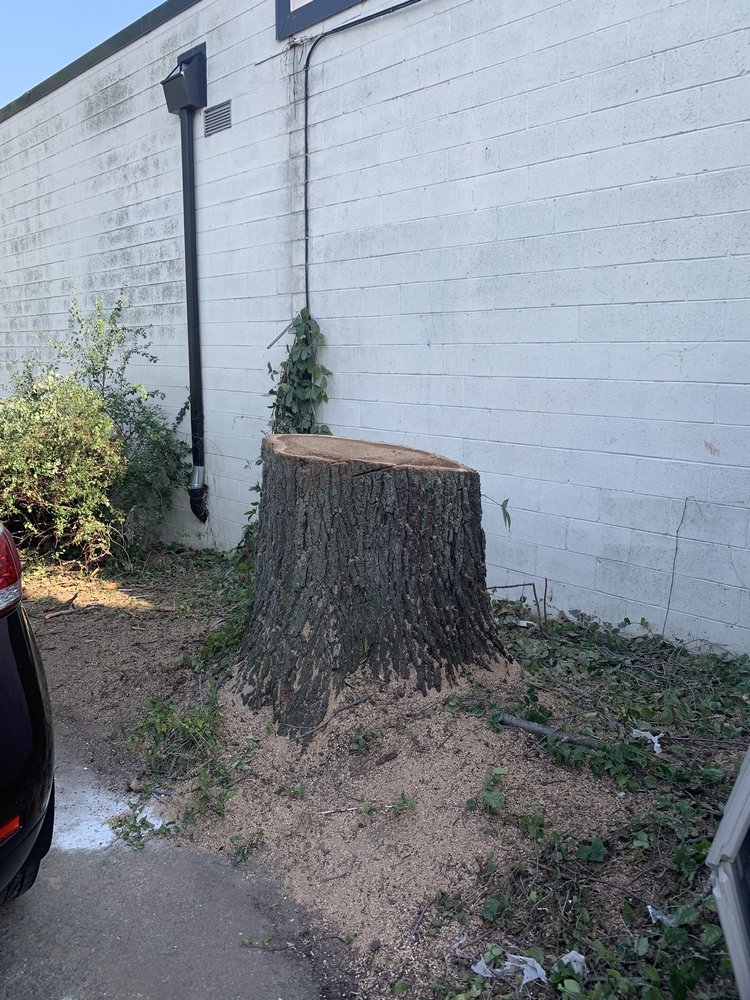 Juan's Services - tree service in Milwaukee, WI