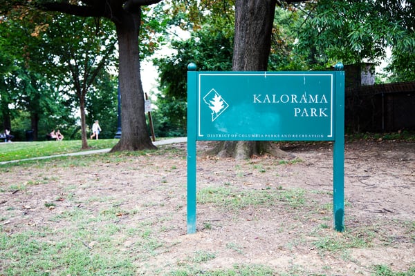 The Shawmut Apartments by null