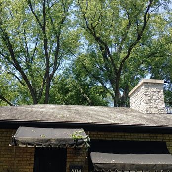 Progressive Tree Service - Trouble arm of the silver maple! - Tree Services Near Me - Evanston, Illinois Progressive Tree Service - Trouble arm of the silver maple! - Tree Services Near Me - Evanston, Illinois