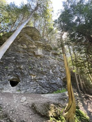 Elora Gorge Conservation Area by null