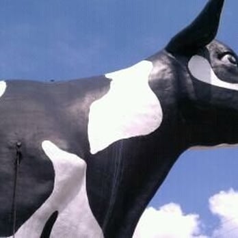 State Farmers' Market - black and white cow - Farmers Market Near Me - Montgomery, Alabama State Farmers' Market - black and white cow - Farmers Market Near Me - Montgomery, Alabama
