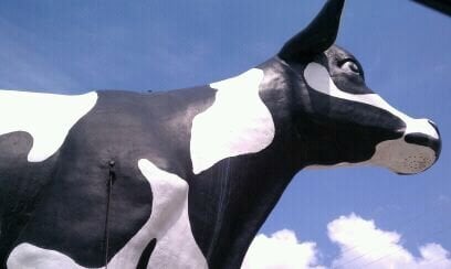 State Farmers Market by null