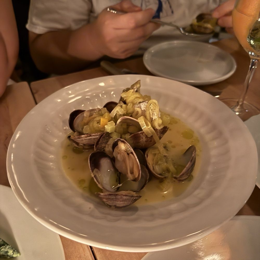 Manila clams Manila clams