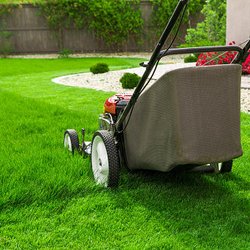 Southern Style Fence and Lawn Care