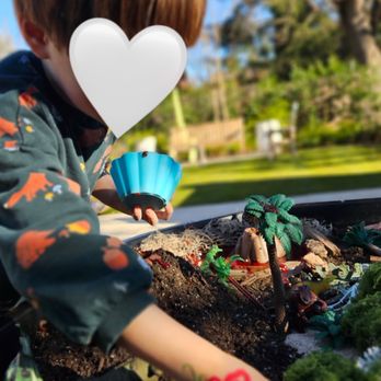 My Lileigh Pad - Dino swamp and volcanos - Kids Activities Near Me - Walnut Creek, California My Lileigh Pad - Dino swamp and volcanos - Kids Activities Near Me - Walnut Creek, California
