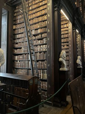 The Book of Kells Experience by null