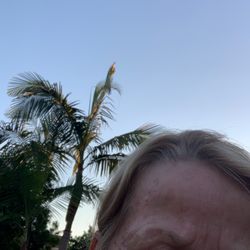 DMG of North County - Encinitas - Use sunscreen