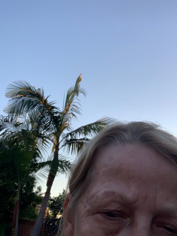 DMG OF NORTH COUNTY ENCINITAS Updated November 2024 118 Reviews