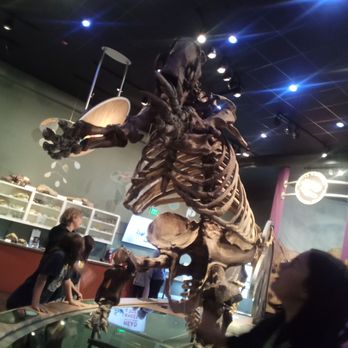 Western Science Center - Museums Near Me - Hemet, California Western Science Center - Museums Near Me - Hemet, California