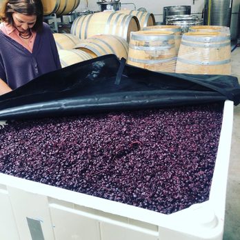 Côte West - Wine grapes - Wine Tasting Room Near Me - Oakland, California