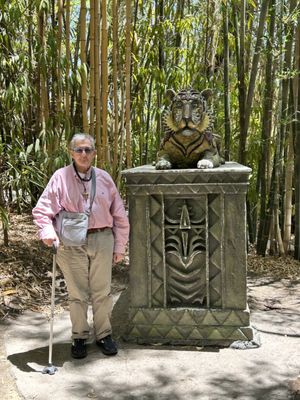 San Diego Zoo Safari Park by null