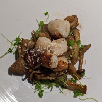Nobu Washington D.C - Scallops and mushrooms - Japanese Near Me - Washington Dc, District of Columbia Nobu Washington D.C - Scallops and mushrooms - Japanese Near Me - Washington Dc, District of Columbia