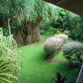 River Estate - View from the lanai - Vacation Rentals Near Me - Hanalei, Hawaii River Estate - View from the lanai - Vacation Rentals Near Me - Hanalei, Hawaii