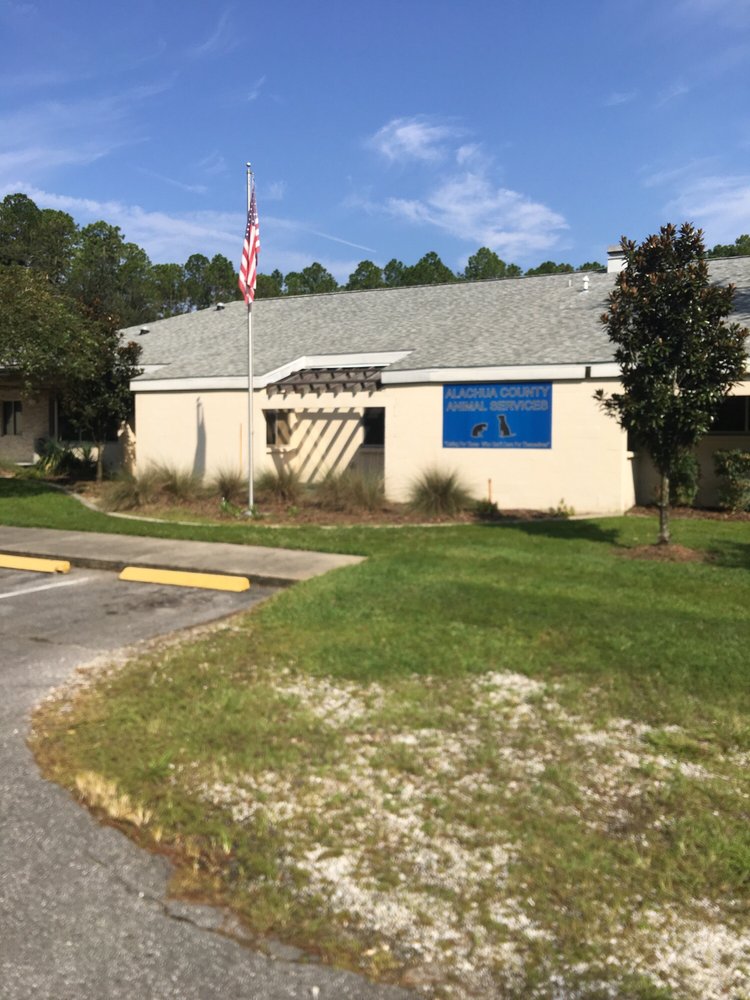 Alachua County Animal Services Image