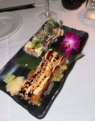 LoLa 41 Palm Beach by null